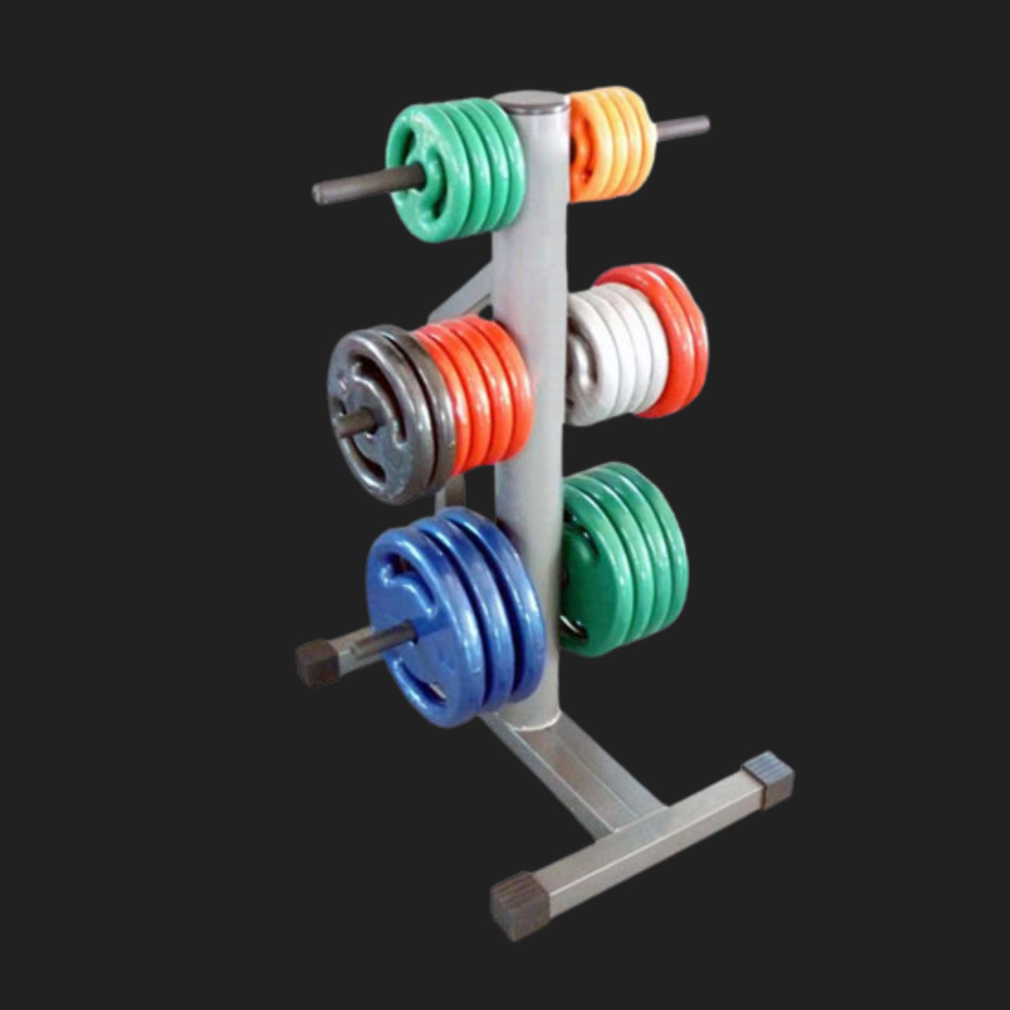 Suporte de Anilhas - 300kg