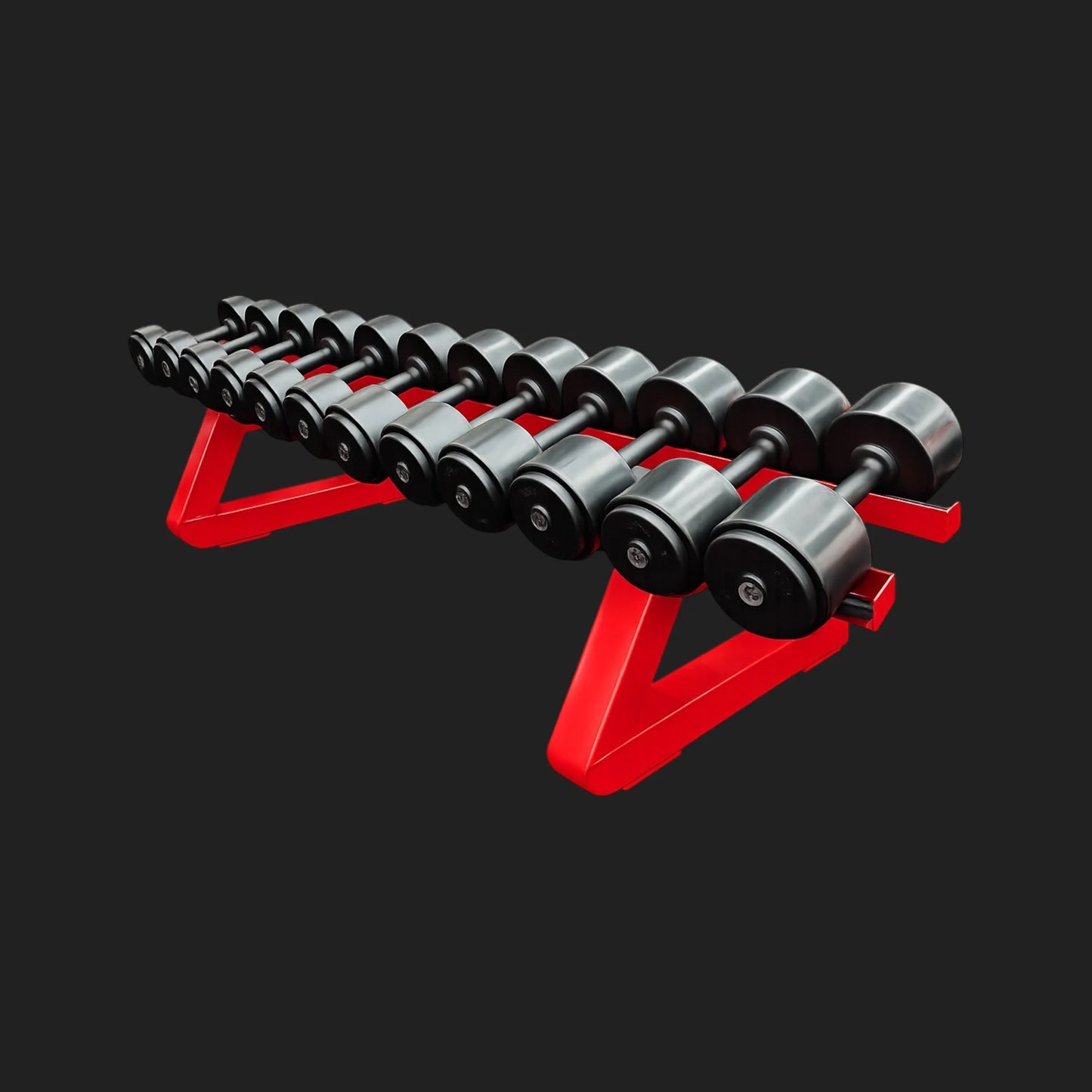 Suporte de Dumbells (6 Pares)