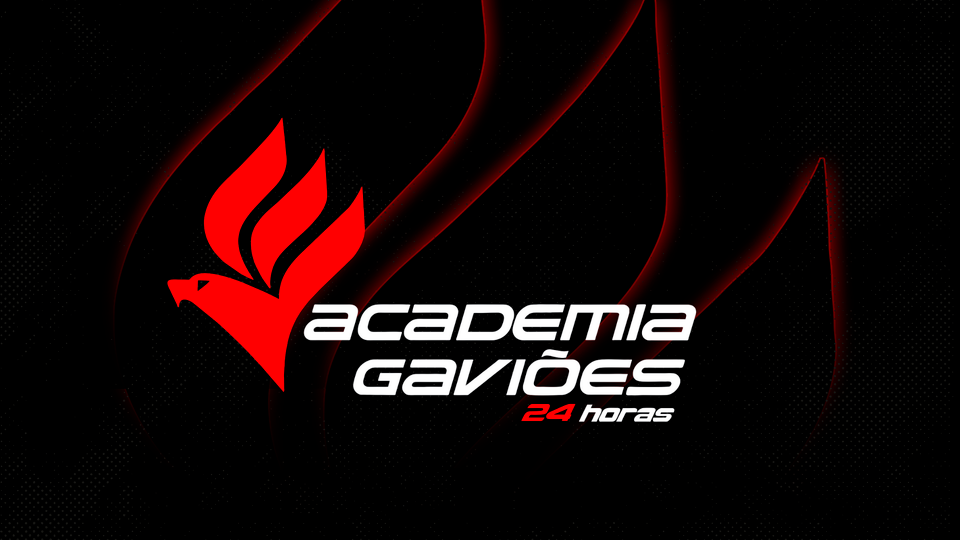 ACADEMIA GAVIÕES