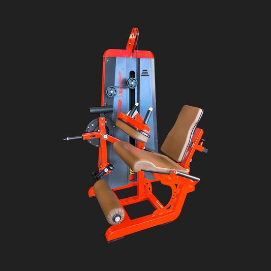 FlexoExtensor Chair